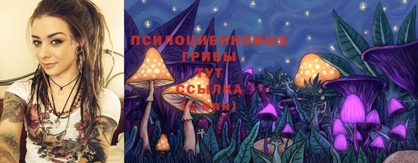 COCAINE Инсар